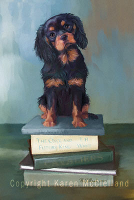 Black and Tan Cavalier King Charles Spaniel