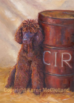 Irish Water Spaniel