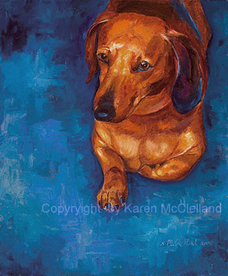 Dachshund