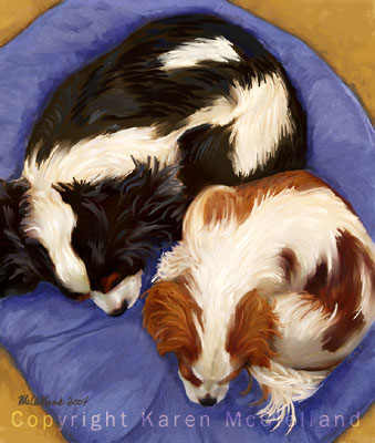 Tri & Blenhein Cavaliers