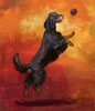 Gordon Setter Catch