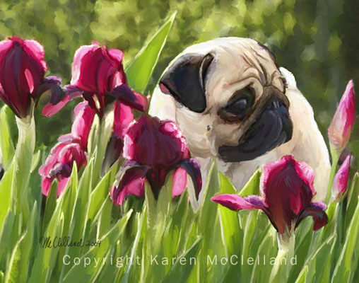 Garden Pug print