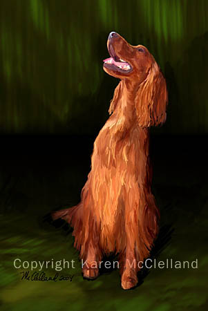 Irish Setter print by Karen mcClelland