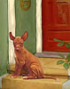 Pharaoh Hound Egyptian Red