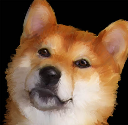 Shiba Inu head