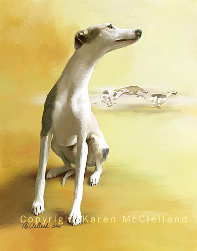 Whippet painting by Karen McClelland